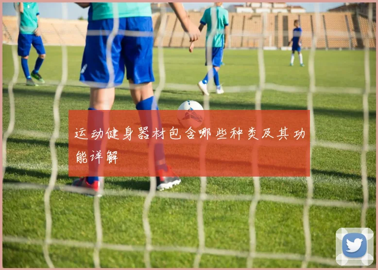 运动健身器材包含哪些种类及其功能详解