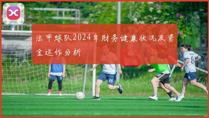 法甲球队2024年财务健康状况及资金运作分析