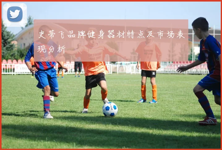 史蒂飞品牌健身器材特点及市场表现分析