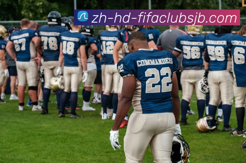 App Interface Preview